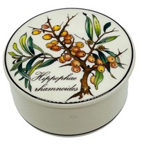 Villeroy Boch Botanica Trinket Box Hippophae Rhamnoides Seaberry 2.5 inch - $18.69