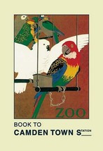 The London Zoo: Exotic Birds by S. T. C. Weeks - Art Print - £17.57 GBP+