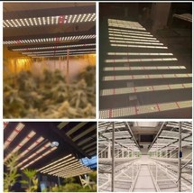  Phlizon 240W 450W 640W 1000W for Indoor Plants  High Efficiency Dimmabl... - $3,500.04 MXN+