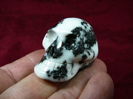 (HH-132-E) Human Skull Black + White Tiger Zebra Striped Gemstone Skulls Man - £23.52 GBP