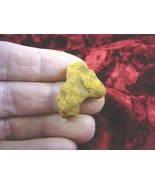 (PP450-18) 1&quot; Genuine Fossil TURTLE POOP Coprolite DUNG WEIRD WA state s... - €9,37 EUR