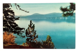 Lake Tahoe North Shore Pines California UNP Mirro Krome Frasher Postcard c1950s - £5.62 GBP