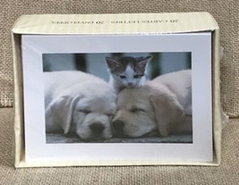 New American Greetings Designers Collection Puppies And Kitten Blank Not... - £7.89 GBP