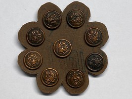 Wwi, U.S.A. Buttons, Group Of 9, Horstmann, Devans &amp; Co, City Buttons, Waterbury - £11.73 GBP