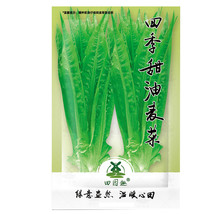 2500Pcs Chinese Leaf Lettuce Sword Pointed Lettuce A Choy You Mai Tsai F... - $6.46