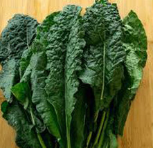 Grow In US 200 Lacinato Kale Seeds Dinosaur Kale Italian Heirloom Kale - £6.64 GBP