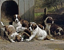 Art St. Bernard Puppies by O. Eerelman. Oil Painting Giclee Print Canvas - £6.85 GBP+