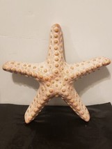 Sonoma Life Style Ceramic Starfish Shoreline Decorative Ocean - £22.37 GBP