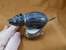 TNE-OPO-776-A) Opossum wild rodent TAGUA NUT palm figurine carving rat p... - £17.86 GBP