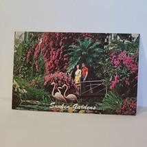 Vintage Postcard Sunken Gardens Saint Petersburg Florida Flamingos  - $5.93