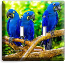 Hyacinth Tropical Blue Macaw Love Birds Parrots Double Light Switch Plate Decor - £11.31 GBP
