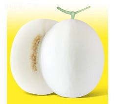 20PCS White jade Muskmelon Seeds Sugar Jar Melon Delicious Fruit Seeds - $5.65