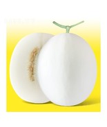 20PCS White jade Muskmelon Seeds Sugar Jar Melon Delicious Fruit Seeds - $7.92 CAD
