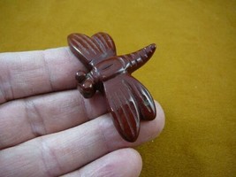 (Y-DRAG-709) little Red DRAGONFLY fly carving FIGURINE gemstone love dra... - $17.53