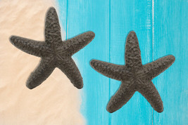 Cast Iron Ocean Coral Sea Star Shell Starfish Decorative Accent Statue S... - £14.84 GBP