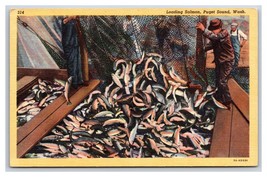 Loading Salmon Catch Puget Sound Washington WA UNP Linen Postcard Y11 - $3.91