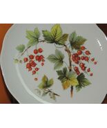 Vohenstrauss Bavaria Plate 7.5" Red Currants Johann Setlmann Germany - $11.69