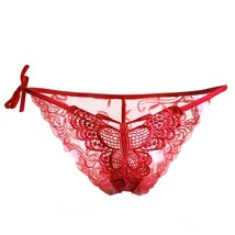 Lacy Embroidered Butterfly Tie Panty - £3.43 GBP