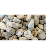 Twelve Pumice Beige Gray Volcanic Rock 20-40mm Reiki Healing Crystal Neg... - $7.56