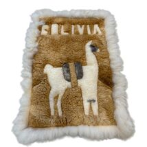 Bolivia Llama Design Handmade Wool Fur Wall Hanging Carpet 20"x26" - $38.40
