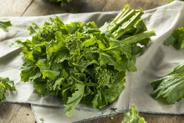 SGHOST 1200 Broccoli Raab Rapini Seeds Organic Non Gmo Grow Your Own USA Seller - $10.23