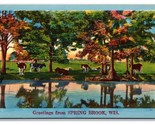 Generic Scenic Greetings Spring Brook WI Dealer Sample UNP LInen Postcar... - $5.89