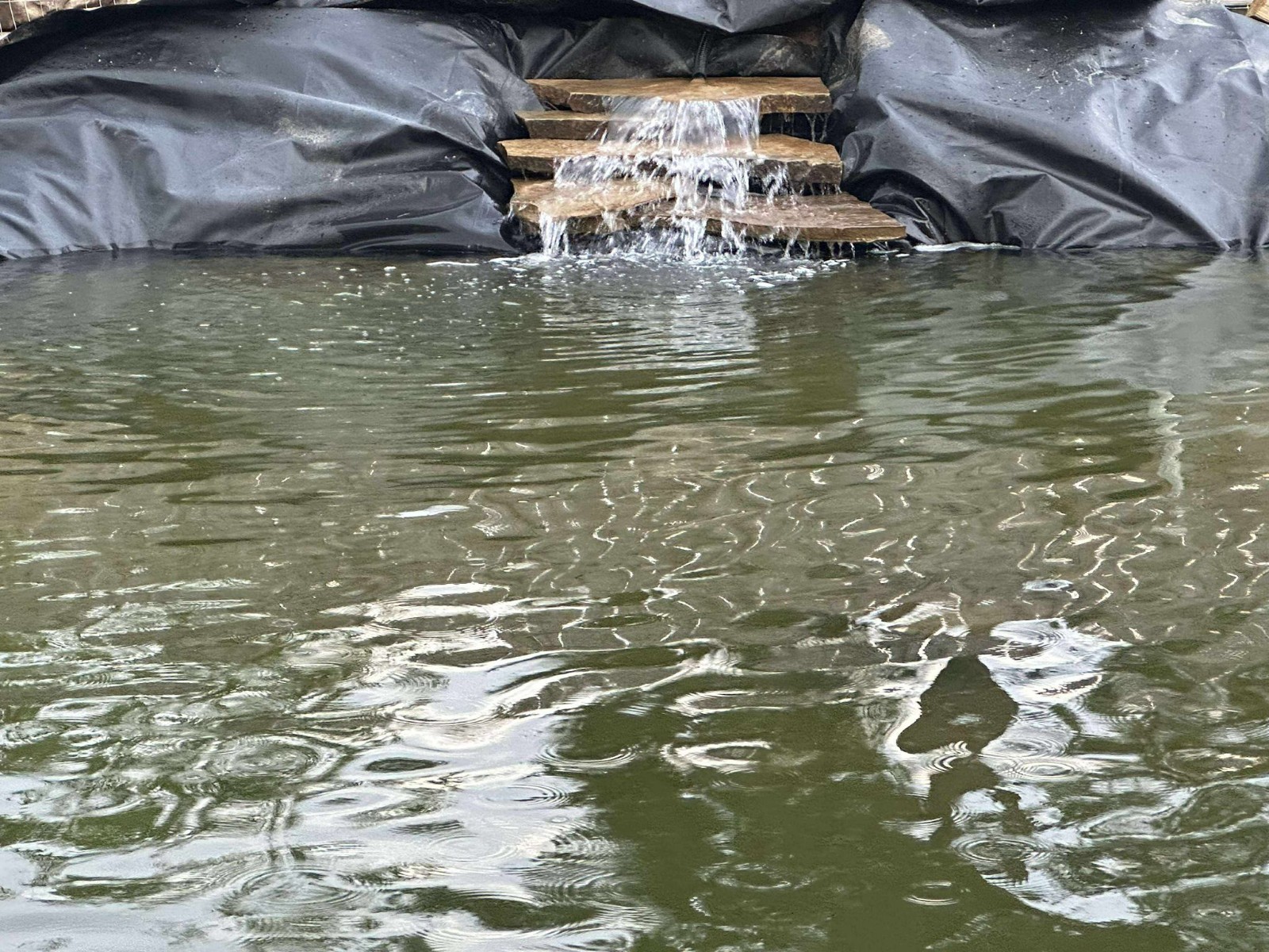 Pond liner, 30 mill, HDRPE,8X40,UV Resistant,Strong,Durable,Fish pond,Pools. K9 Item image 6
