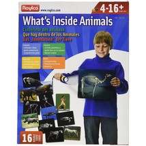 Whats Inside Animals Flash Cards - £54.14 GBP