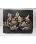 Little Whiskers Keith Kimberlin Great American Puzzle Factory 18&quot; X 24&quot; - €13,81 EUR