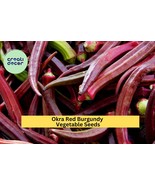 Okra Red Burgundy Seeds – 1g for Planting, Heirloom Variety, High Yield,... - $7.99