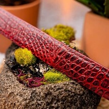 Riccardo Genuine Exotic Caiman Fuscus-Belly Belt Antique Red image 5