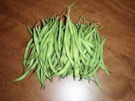 50 Seeds Greencrop Bean Phaseolus Vulgaris Vegetable  - $9.68