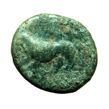 Ancient Greek Coin Kardia Thrace AE11x13mm Lion / Barley Corn 00224 - £17.93 GBP
