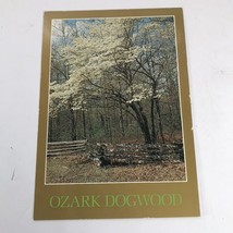 Native Dogwood Tree in the Beautiful Ozarks Missouri MO Postcard - £2.11 GBP