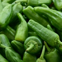 Padron pepper seeds-pimiento de padron-heirloom seeds-spanish tapas peppers - $4.95