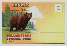 Yellowstone Natonal Park Series D Haynes Linen Souvenir Folder  - £5.41 GBP