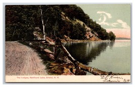 The Ledges Newfound Lake Bristol New Hampshire NH 1908 DB Postcard T3 - £2.33 GBP