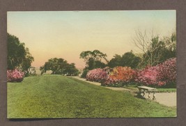 Vintage Linen Hand Colored Postcard Sunken Gardens Charleston SC Unused - $4.99