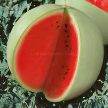 Watermelon Dark Red inside Whitekin Melon 20 Pack 18%ugar contained high yield - £8.43 GBP