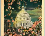Capitol Building Through Cherry Blossoms Washington DC Linen Postcard H14 - £2.34 GBP