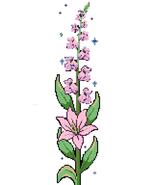 July Larkspur and Water Lily Bookmark Cross Stitch Pattern | Digital PDF - $3.99