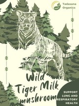 Wild Tiger Milk Mushroom Lignosus rhinocerus Respiratory Immune Support ... - £14.87 GBP