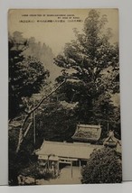 Mt Oishi Of Kishu Large Cedar Tree Of OGAWA-HACHIMAN Shrine Postcard G10 - $5.99