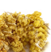 Immortelle Helichrysum Arenarium Dwarf Everlast Organic Dried Herbal Tea - £4.49 GBP+
