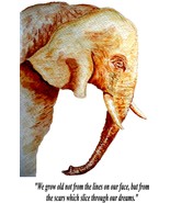 Elephant Long Memory Dreams Regrets Novelty Poster Quotation High Qualit... - £5.50 GBP+