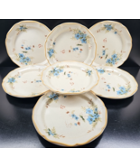 7) Mikasa Day Dreams Dinner Plates Set Vintage Garden Club Floral Dish Retro Lot - $108.57