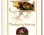 Turkey and Cabin Scene Thanksgiving Greetings Embossed UNP DB Postcard Q22 - $3.91
