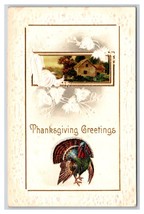 Turkey and Cabin Scene Thanksgiving Greetings Embossed UNP DB Postcard Q22 - £3.05 GBP