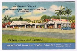 Postcard Harvey&#39;s Groves Packing House &amp; Salesroom Indian River Florida - £5.47 GBP