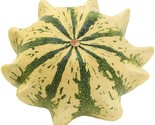 15 Seeds Crown Of Thorns Shenot Gourd Seeds Squash Heirloom Organic Non ... - £7.22 GBP